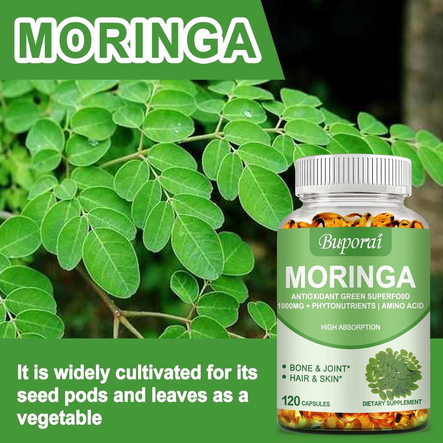 Pure Moringa PowerTM