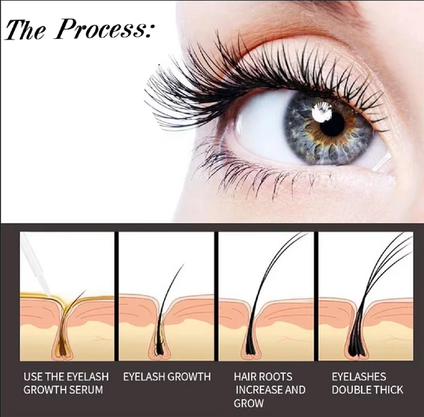 Luxury Lashes