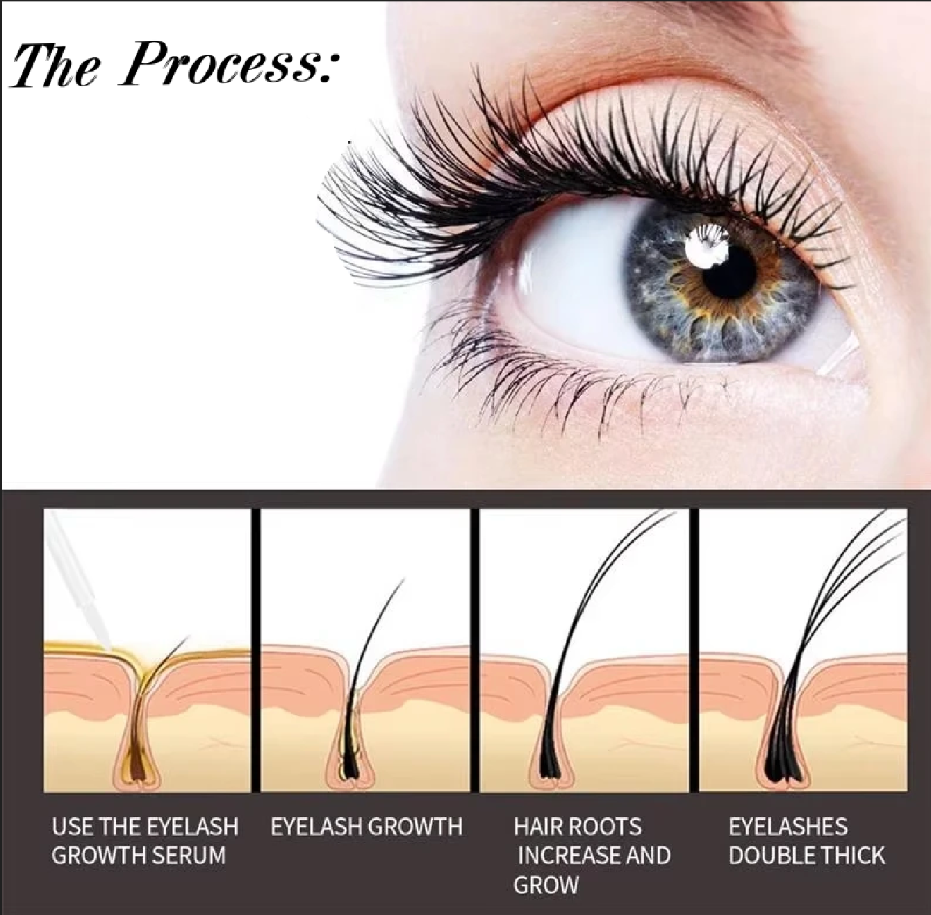 Luxury Lashes